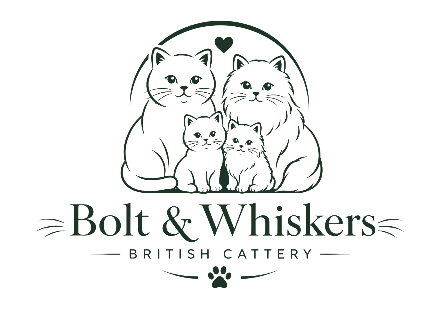 catteryboltwhiskers.nl